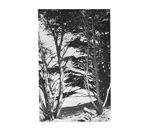 the album cover for Rick Deitrick - Gentle Wilderness