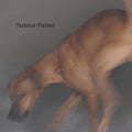 the album cover for Terence Fixmer - Force