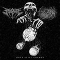 the album cover for Fetid Zombie / Svierg - Once Still Cosmos