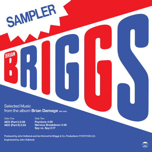 the album cover for Brian Briggs - Selected Music From The Album Brian Damage
