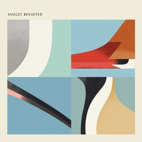the album cover for Avocet Revisited / Various Uk - Avocet Revisited / Various