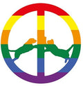 the album cover for Hype Williams - Rainbow Edition [180 Gram]