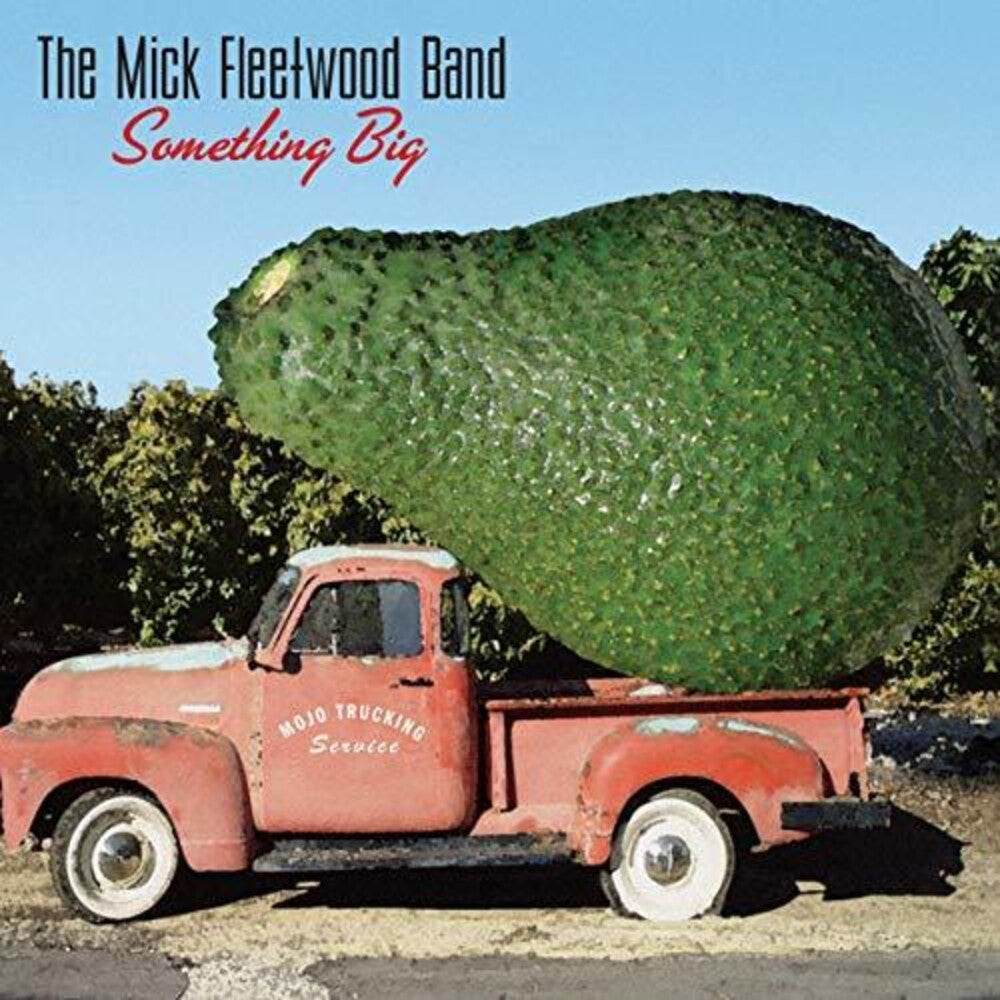 the album cover for The Mick Fleetwood Band - Something Big