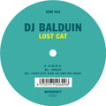 the album cover for Dj Balduin - Lost Cat