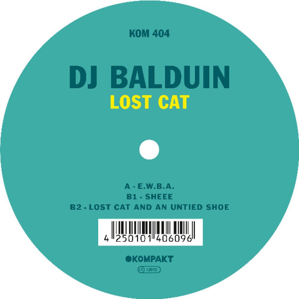 the album cover for Dj Balduin - Lost Cat