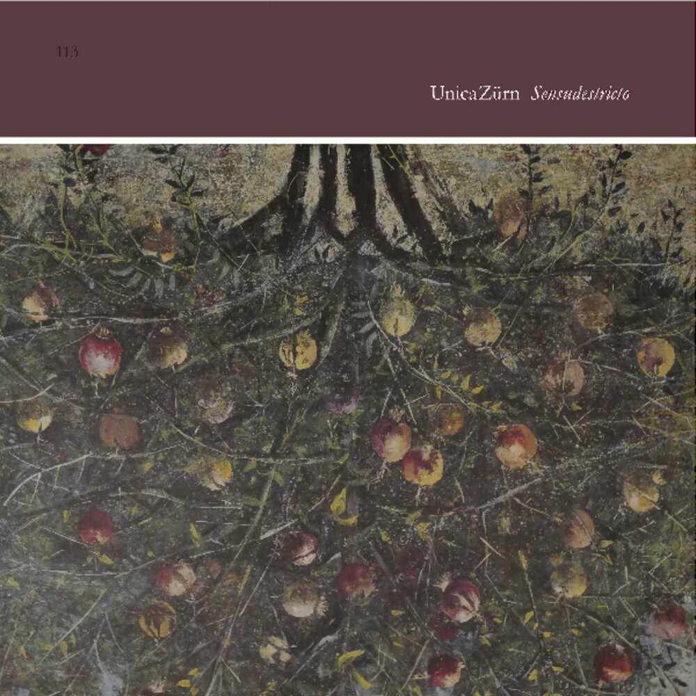 the album cover for Unicazurn - Sensudestricto