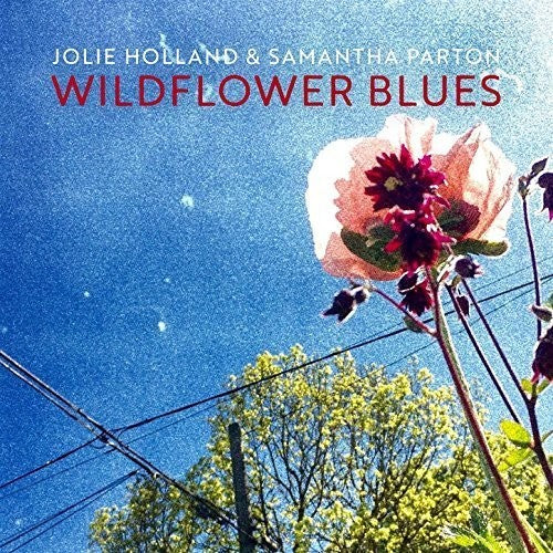 the album cover for Jolie Holland - Wildflower Blues [LP]