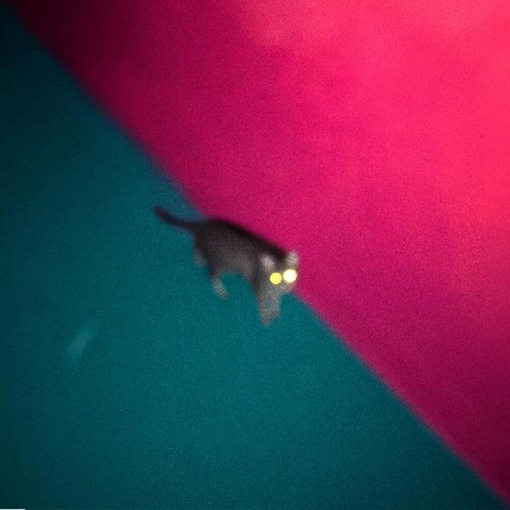 the album cover for !!! (Chk Chk Chk) - Wallop [2LP]