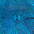 the album cover for Santana - Borboletta [180 Gram Platinum Swirl Audiophile Vinyl/45th Anniversary Limited Edition/Gatefold Cover]