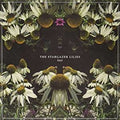 the album cover for Stargazer Lilies - Lost [Colored Vinyl] [180 Gram] [Download Included]