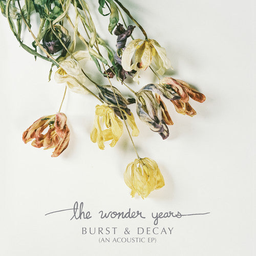 the album cover for The Wonder Years - Burst & Decay EP [Limited Edition Purple Vinyl]