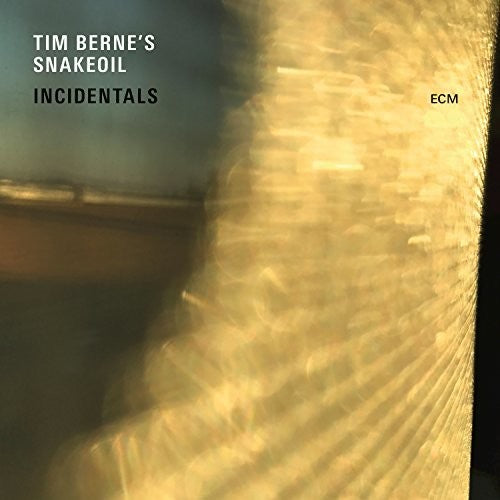 the album cover for Tim Berne - Incidentals