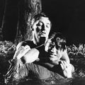 the album cover for Unknown Artist - Cape Fear (Original Motion Picture Soundtrack)