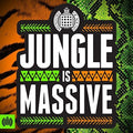 the album cover for Ministry Of Sound Jungle Is Massive / Various - Ministry Of Sound: Jungle Is Massive / Various