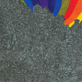 the album cover for Lightning Bolt - Wonderful Rainbow [Colored Vinyl] [Download Included]