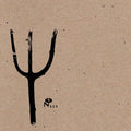 the album cover for Indian Summer - Giving Birth to Thunder