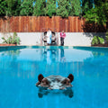 the album cover for Sparks - Hippopotamus