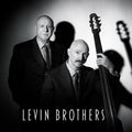 the album cover for Levin Brothers - Levin Brothers