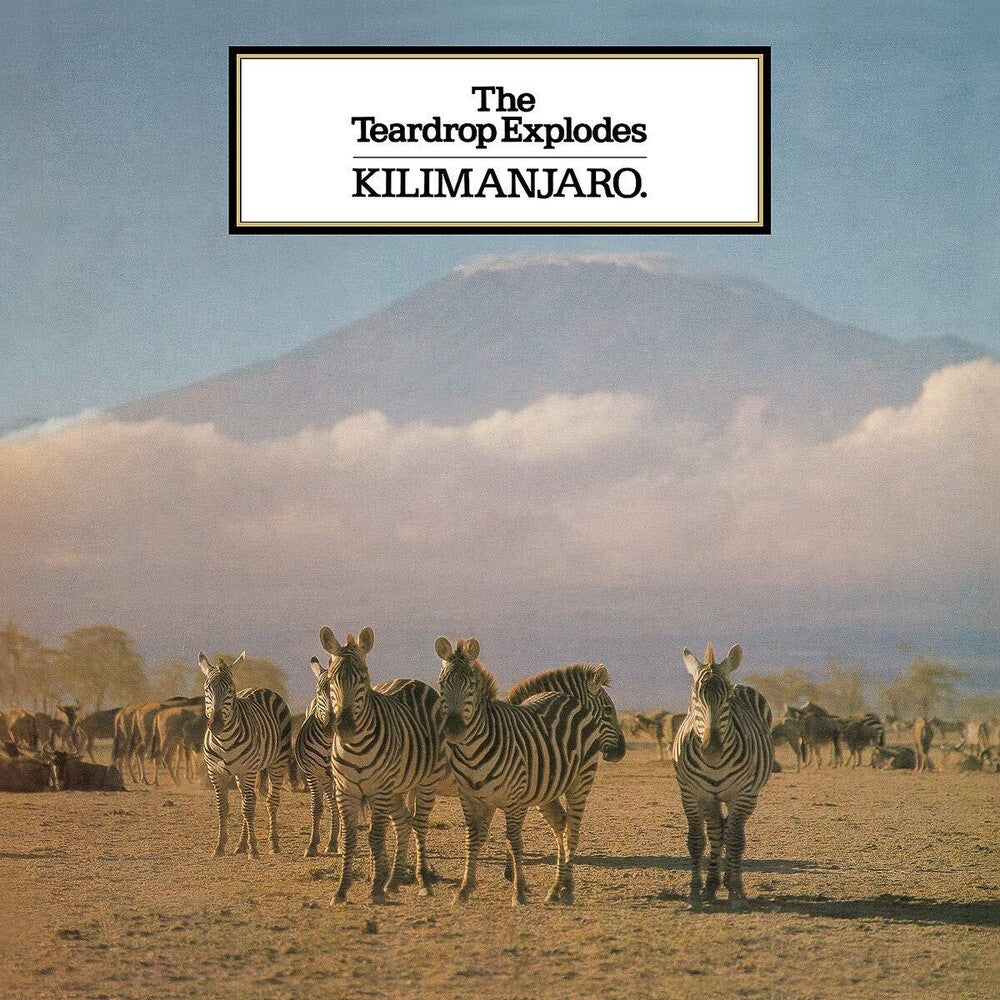 the album cover for Teardrop Explodes - Kilimanjaro (Uk)