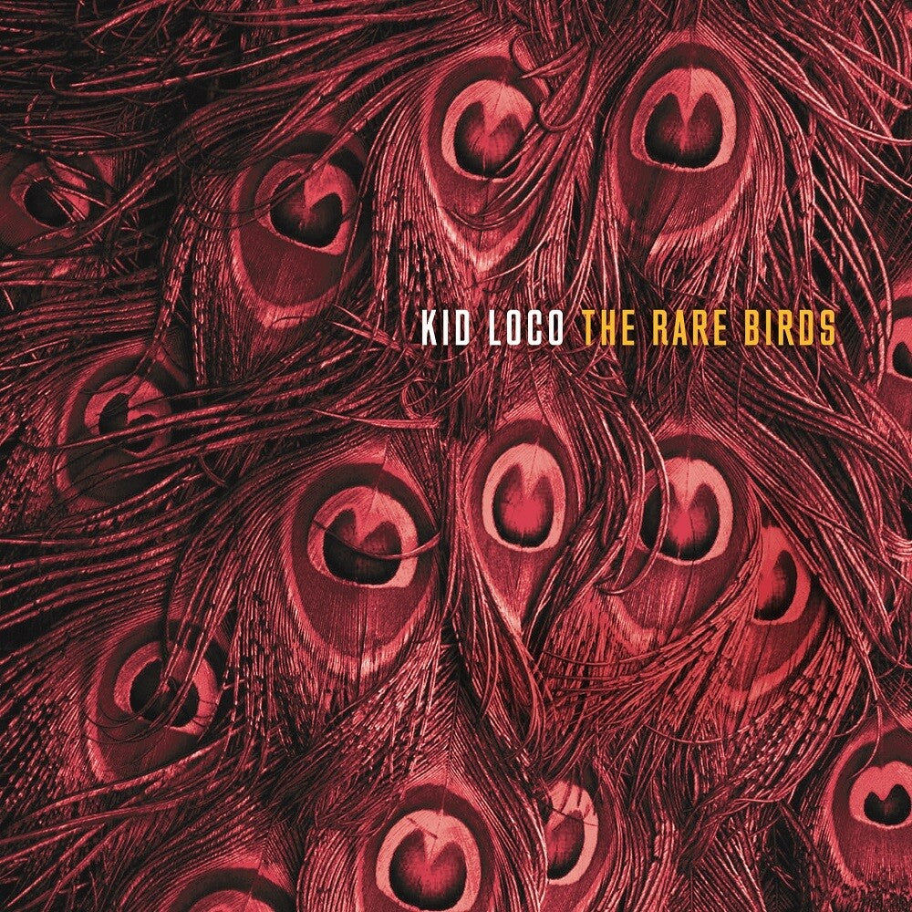the album cover for Kid Loco - The Rare Birds