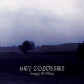 the album cover for Hey Colossus - Happy Birthday