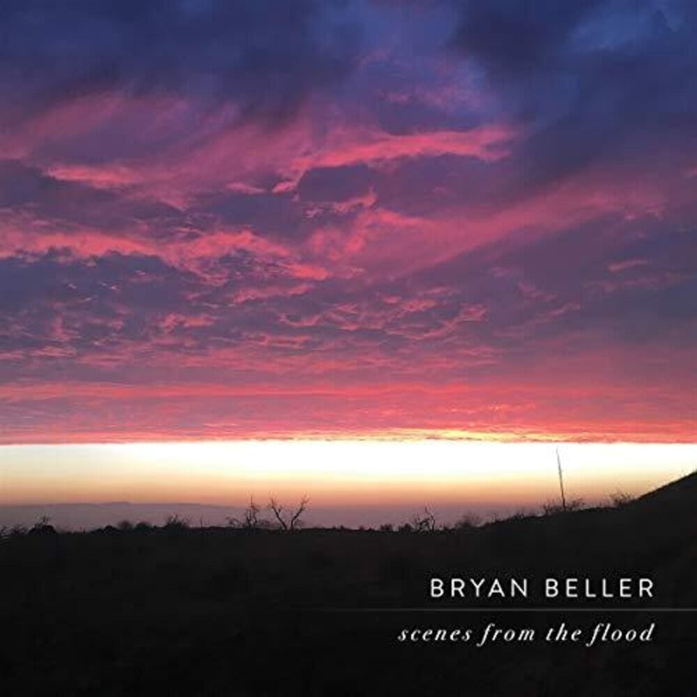 the album cover for Bryan Beller - Scenes From The Flood