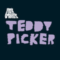 the album cover for Arctic Monkeys - Teddy Picker [Vinyl Single]