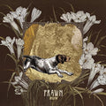 the album cover for Prawn - Run