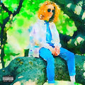 the album cover for Felly - Young Fel
