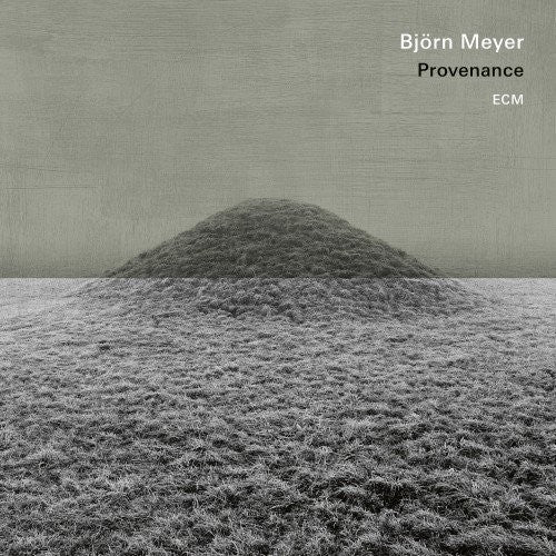 the album cover for Bjorn Meyer - Provenance