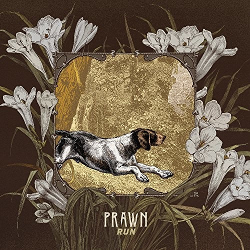 the album cover for Prawn - Run
