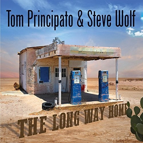 the album cover for Tom Principato / Wolf,Steve - Long Way Home