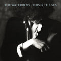 the album cover for The Waterboys - This Is The Sea