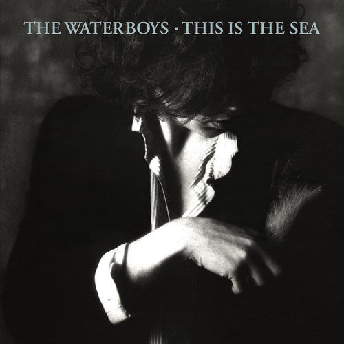 the album cover for The Waterboys - This Is The Sea