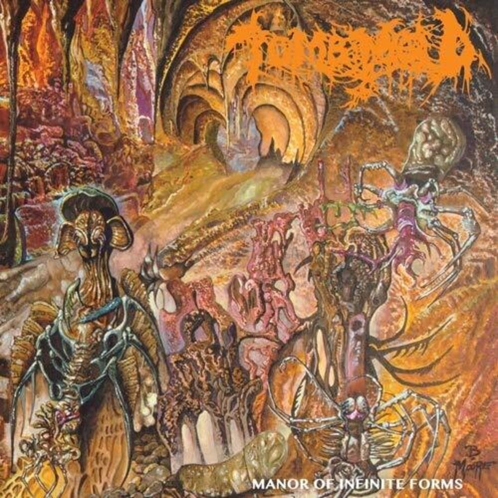 the album cover for Tomb Mold - Manor Of Infinite Forms (Colored Vinyl) [Colored Vinyl]