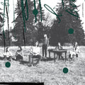 the album cover for The Berries - Berryland