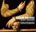 the album cover for Anamorfosi / Various - Anamorfosi