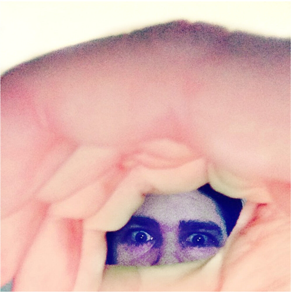 the album cover for Ariel Pink - Odditties Sodomies Vol. 2 [Reissue LP]