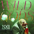 the album cover for Number Twelve Looks Like You - Wild Gods
