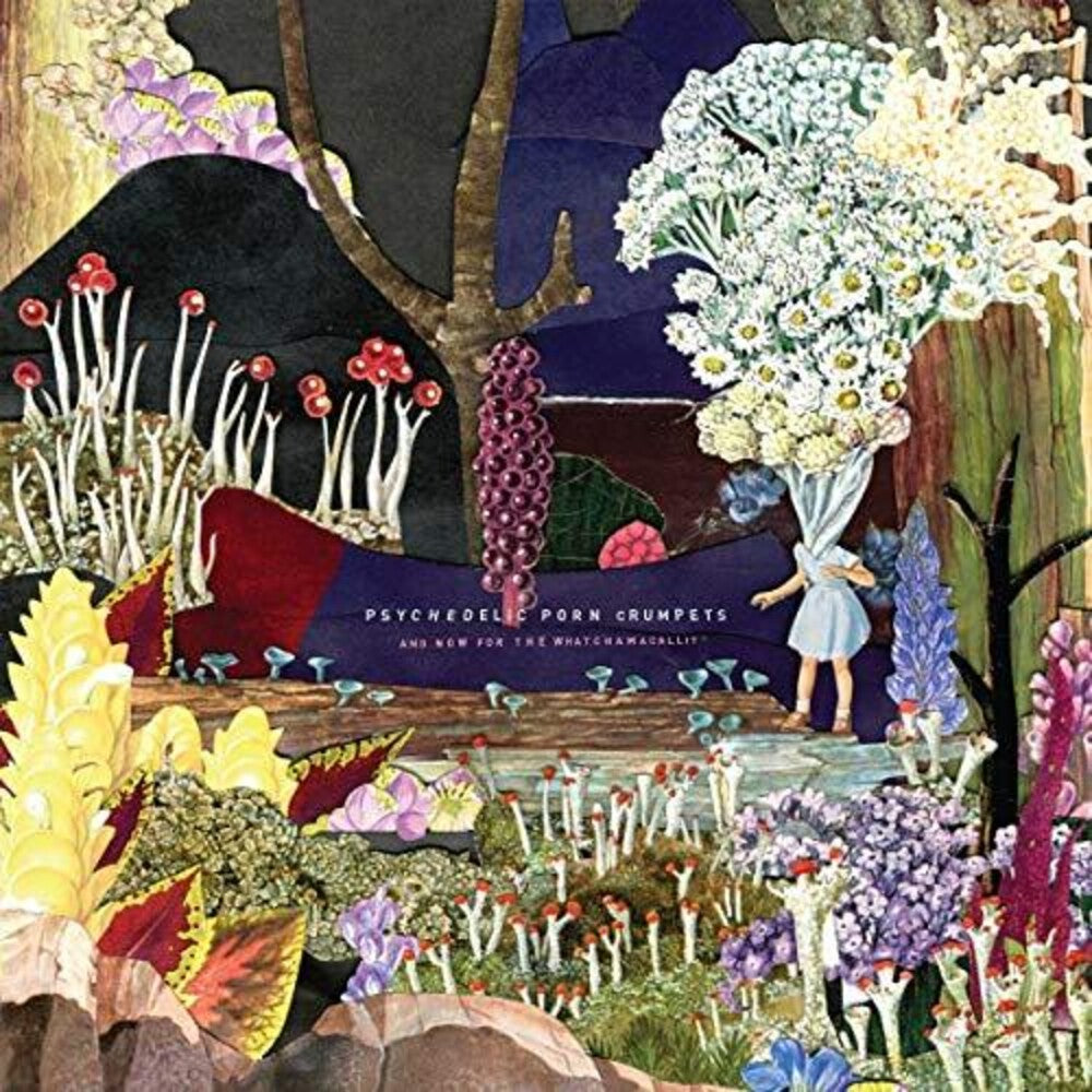 the album cover for Psychedelic Porn Crumpets - And Now For The Whatchamacallit