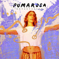 the album cover for Pumarosa - Devastation
