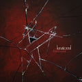 the album cover for Lunatic Soul - Fractured