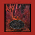 the album cover for Thigh Master - Now For Example