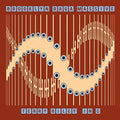 the album cover for Brooklyn Raga Massive - Terry Riley In C