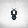the album cover for San Fermin - The Cormorant I [LP]