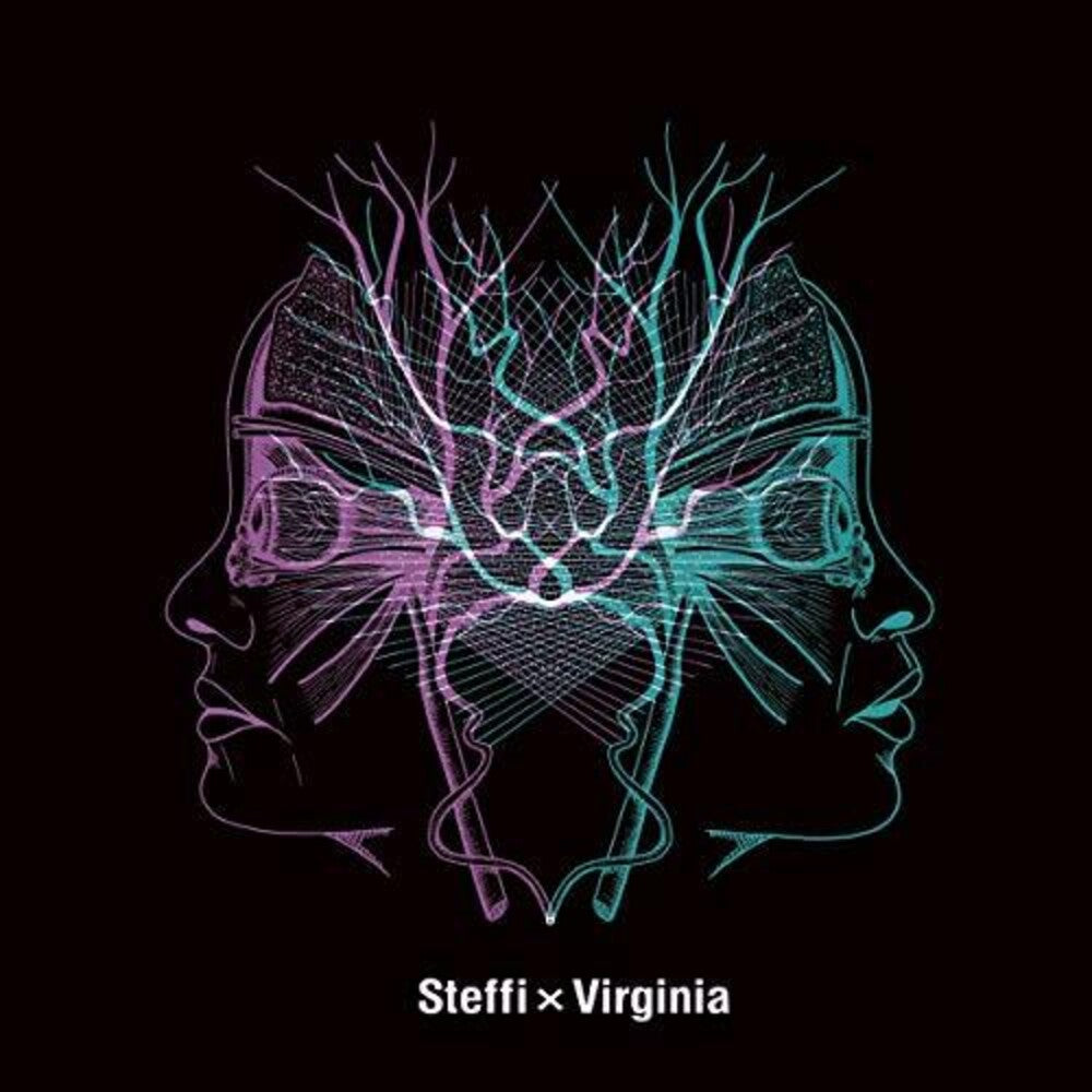 the album cover for Steffi X Virginia - Work A Change