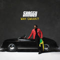 the album cover for Shaggy - Shaggy