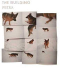 the album cover for The Building - PETRA [LP]