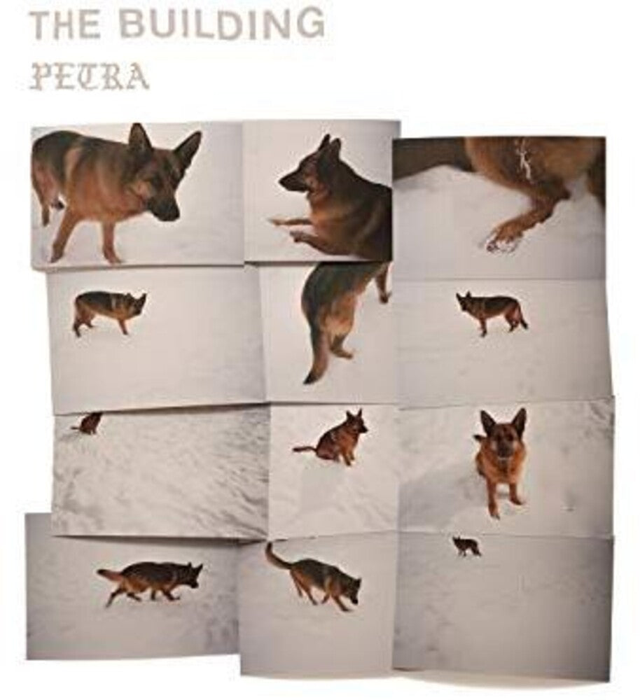 the album cover for The Building - PETRA