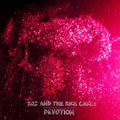 the album cover for Roz & Rice Cakes - Devotion